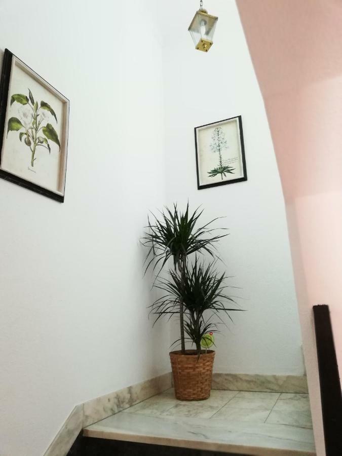 Arronches Villa ภายนอก รูปภาพ