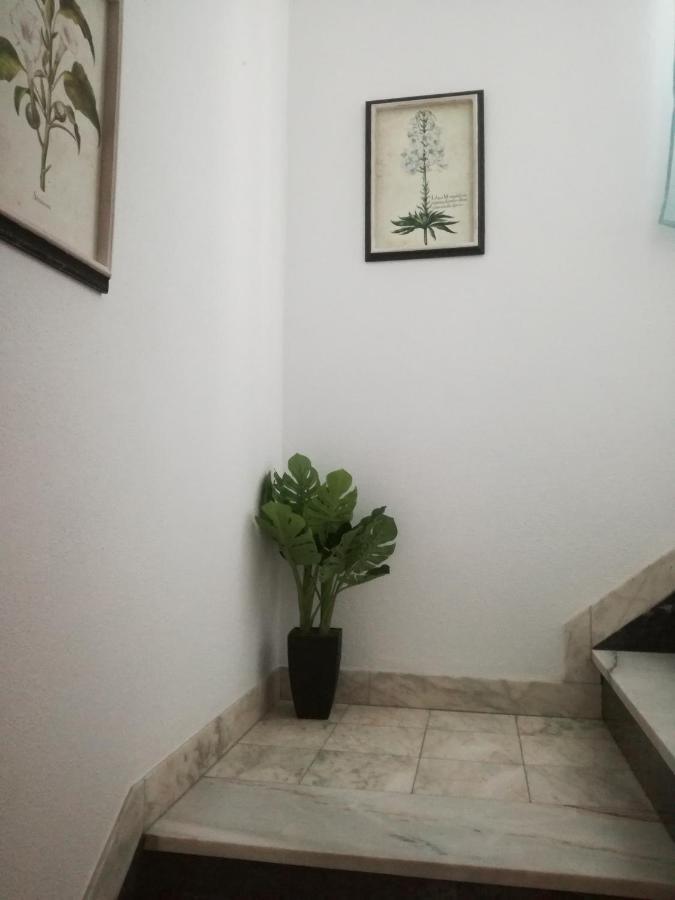 Arronches Villa ภายนอก รูปภาพ